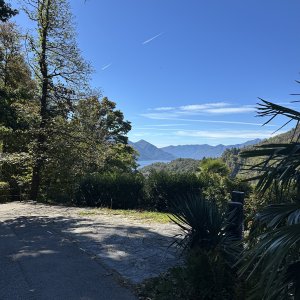 IMG_7494.jpeg