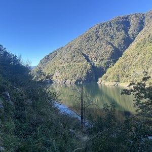 IMG_7487.jpeg