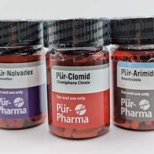 pur-feature-oral Medium.jpeg