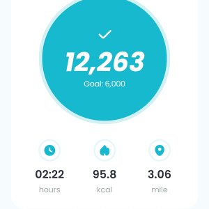 Screenshot_20260322_134703_Pedometer StepGo.jpg