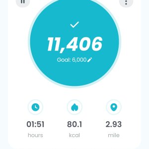 Screenshot_20260527_221735_Pedometer StepGo.jpg