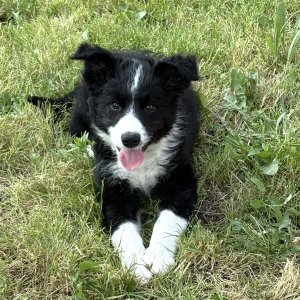 IMG_6645.jpeg
