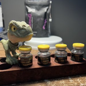 IMG_3684.jpeg