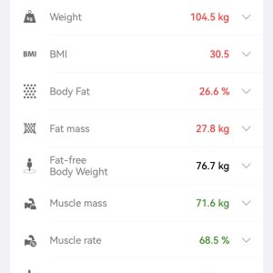 Body1.jpeg