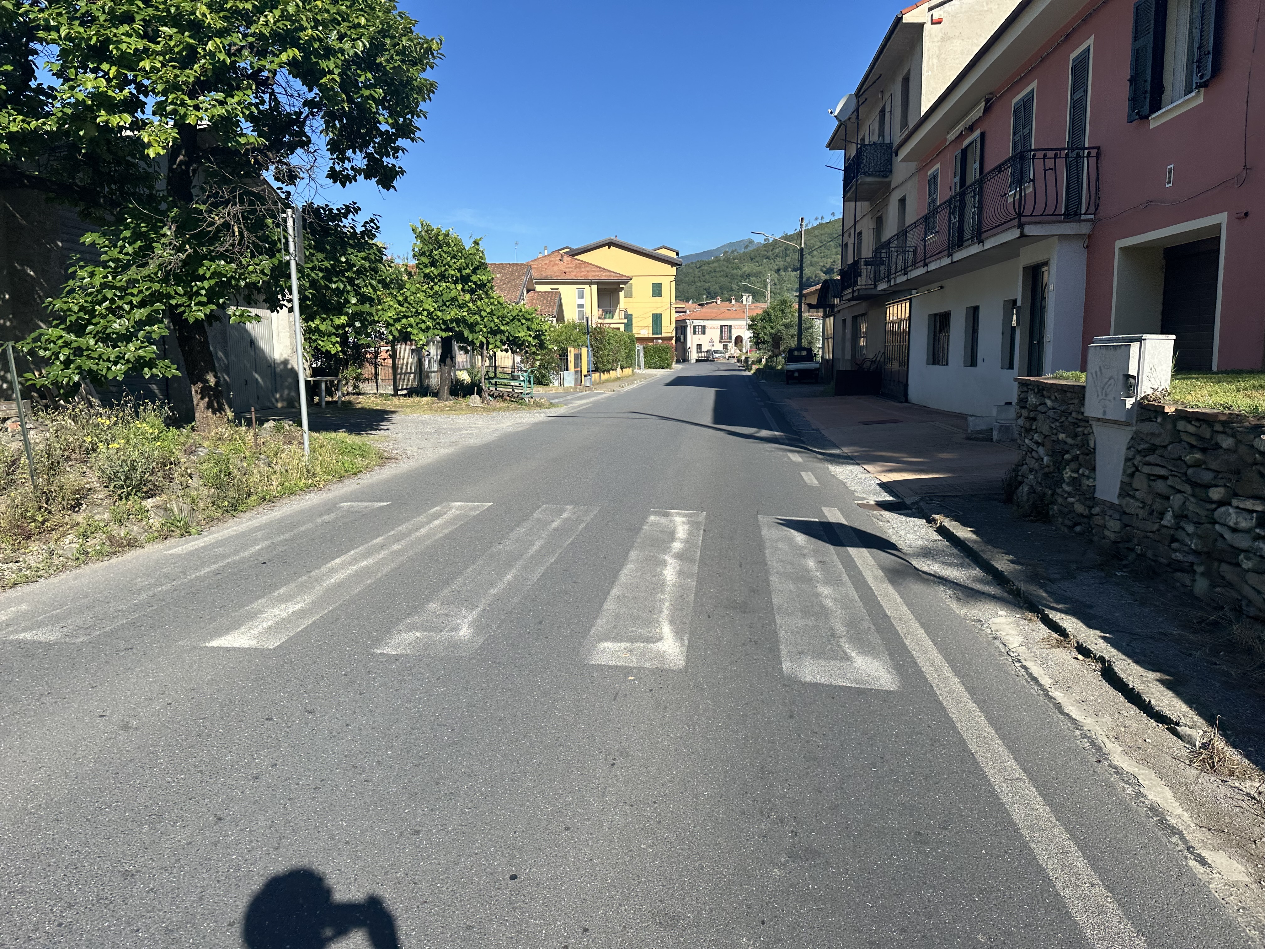 IMG_5872.jpeg