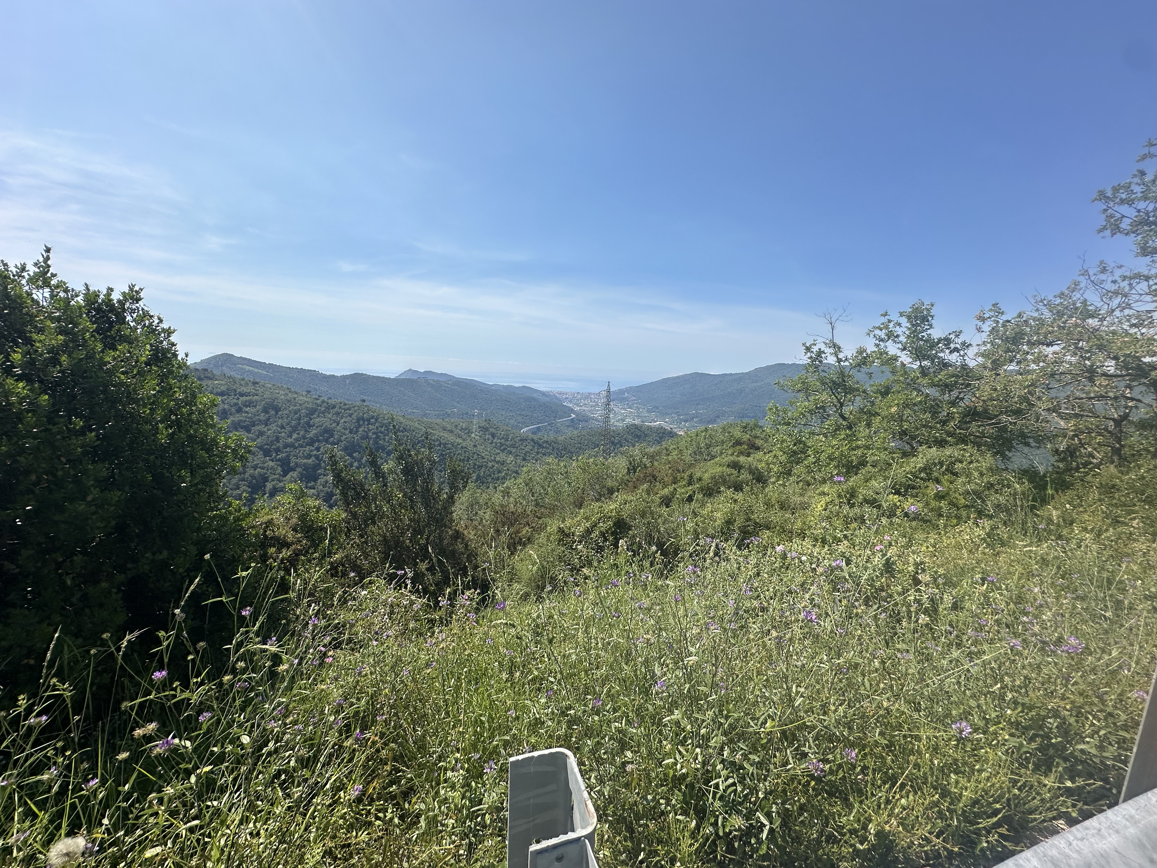 IMG_5899.jpeg
