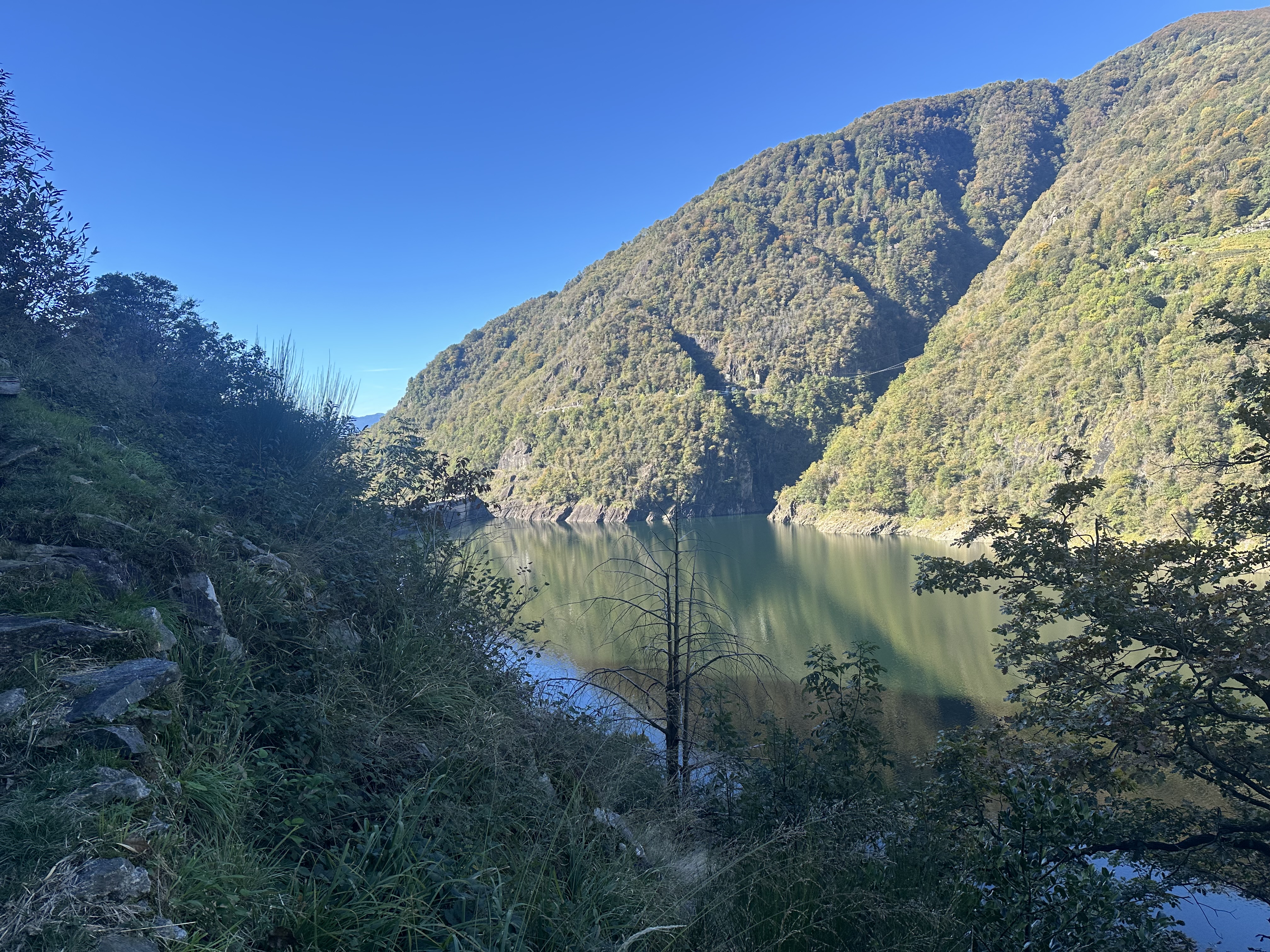 IMG_7487.jpeg
