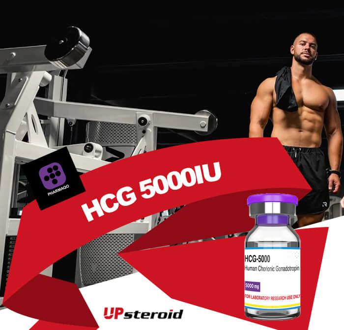 UP-weekly-hcg-5000iu-pharmaqo.jpg